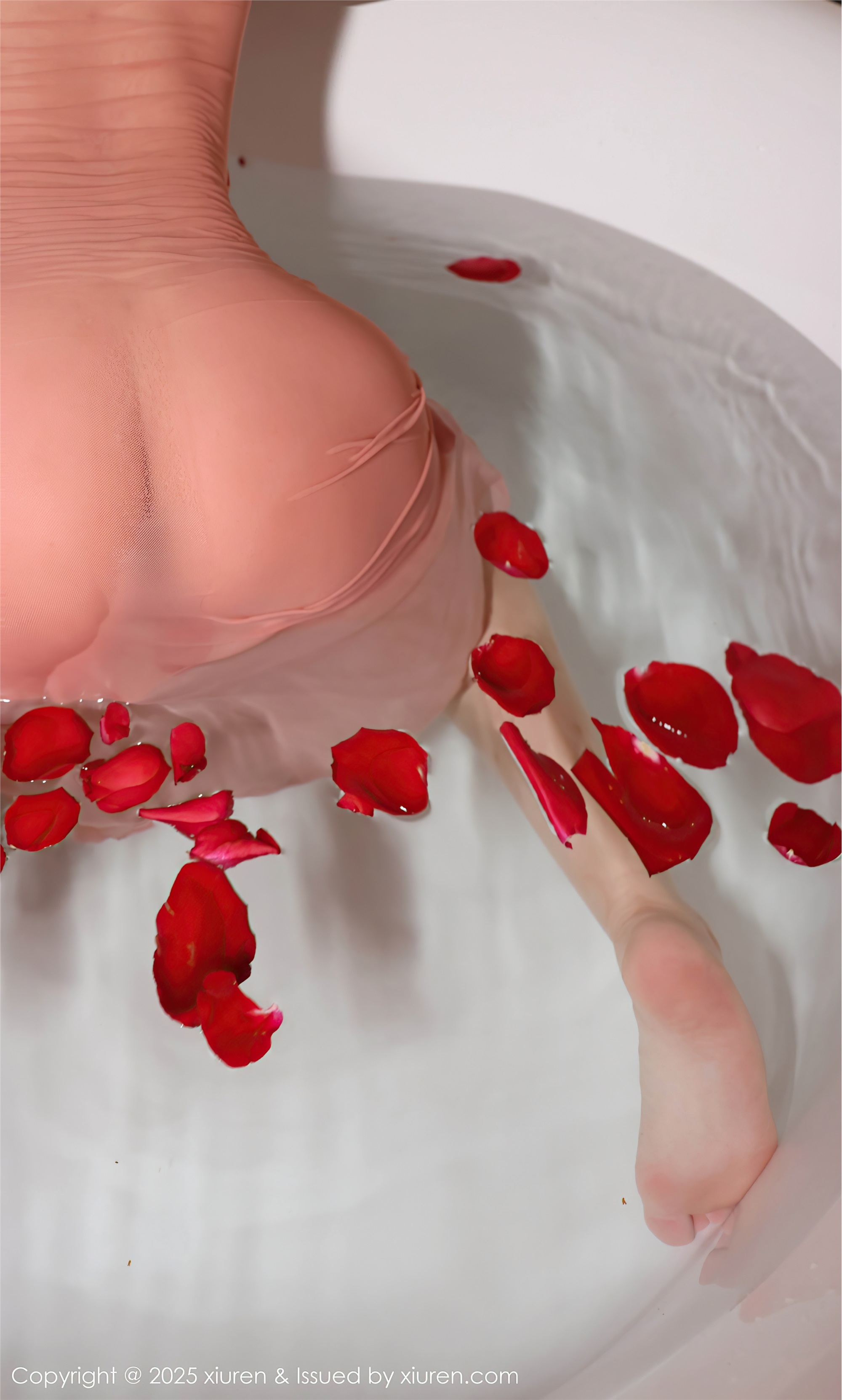 Xiuren秀人网 2025.04.30 NO.10229 小薯条nienie